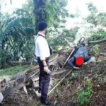 Curiga Rumah Masih Terbuka, Korban Di Temukan Sudah Tak Bernyawa Di Kebunnya Sendiri