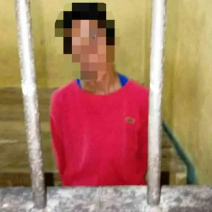 Perkosa Anak Kandung Dari Umur 9 Tahun, Warga RL Ditangkap