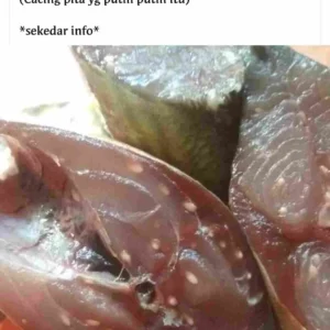 [Fakta atau Hoax] Bintik Putih Pada Daging Ikan Adalah Parasit Berbahaya