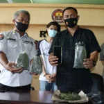 Miliki Setengah Kilo Ganja, Seorang Mahasiswa Ditangkap