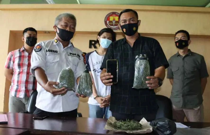 Miliki Setengah Kilo Ganja, Seorang Mahasiswa Ditangkap