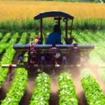 Tim Riset Elon Farm Kembangkan Pertanian Modern Berbasis Air Laut