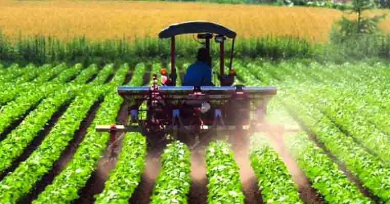 Tim Riset Elon Farm Kembangkan Pertanian Modern Berbasis Air Laut