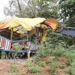 Warem Bandel Dikawasan Pantai Panjang Dirobohkan Pemkot Bengkulu
