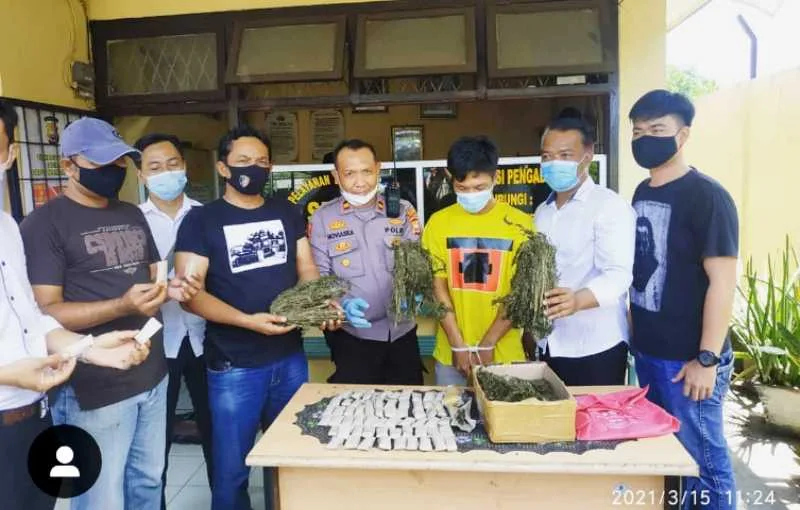 Miliki 2 Kg Ganja, Warga Pematang Gubernur Ditangkap