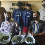 Pelajar dan Mahasiswa Tertangkap Miliki Paket Besar Ganja