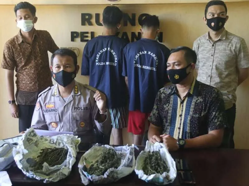 Pelajar dan Mahasiswa Tertangkap Miliki Paket Besar Ganja