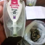 Polda Bengkulu Amankan Bandar Berikut BB Ganja, Diduga Hasil Tanaman Lokal
