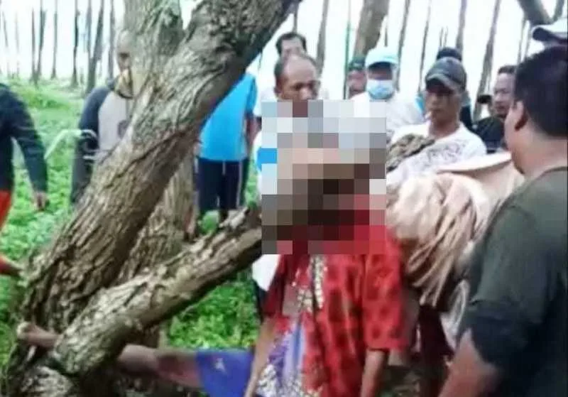 Polsek Sukaraja Selidiki Penyebab Kakek Tewas Tergantung di Pohon