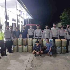 Timbun Solar, 2 Warga Lubuk Pinang Tertangkap Razia Gabungan Polres Mukomuko