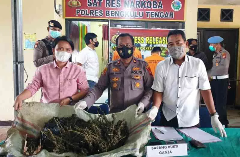 Bawa 2,7 Kg Ganja, Dua Petani di Tangkap Polres Benteng