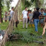 Pelaku Pembunuhan Buruh Sawit PT Agra Akhirnya Menyerahkan Diri