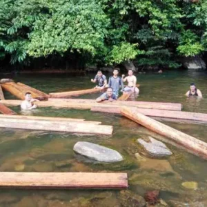 Polsek MM Selatan Amankan 5 Kubik Kayu Illegal Loging
