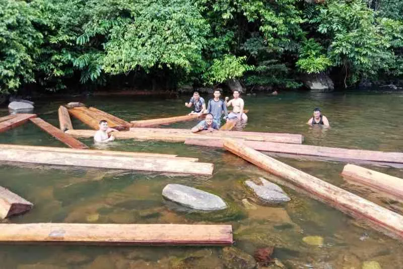 Polsek MM Selatan Amankan 5 Kubik Kayu Illegal Loging