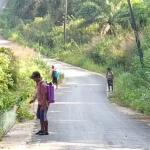 Agar Terlihat Bersih dan Nyaman Warga Desa Cinta Makmur Bersihkan Jalan dan Rehab Jembatan