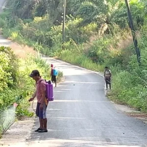 Agar Terlihat Bersih dan Nyaman Warga Desa Cinta Makmur Bersihkan Jalan dan Rehab Jembatan