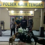Ketahuan Curi Kambing, Dua Orang Anak Dibawah Umur Diamankan