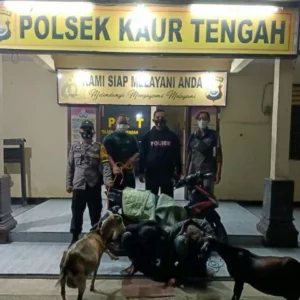 Ketahuan Curi Kambing, Dua Orang Anak Dibawah Umur Diamankan