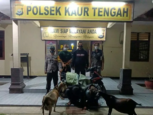 Ketahuan Curi Kambing, Dua Orang Anak Dibawah Umur Diamankan