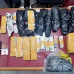 Miliki Ganja, 2 Kuli Bangunan Diamankan Polda Bengkulu