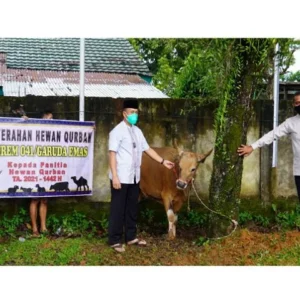 Pandemi Covid-19 Tak Surutkan Semangat Berqurban Korem 041/Gamas