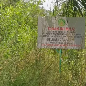 Polemik Lahan UIN Bengkulu, Si’i : Kalau Mau Negur Tolong Tertulis