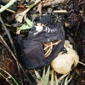 Ditemukan Tengkorak di Hutan, Polres BU Lakukan Pemeriksaan