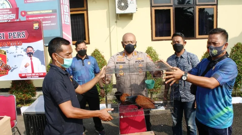Miliki Hewan Hampir Punah, Ops Wanalaga Lakukan Pembinaan Kepada Dua Warga Mukomuko