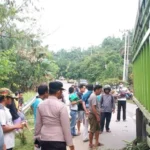 Lalai, Pengendara Motor Tertabrak Truk Fuso di Mukomuko