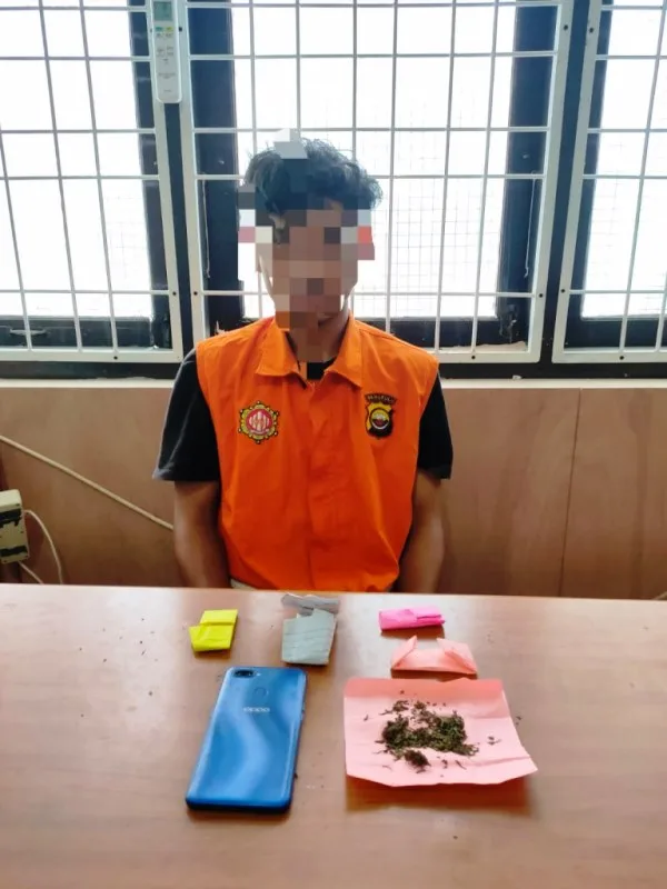 Miliki 5 Paket Ganja, Pemuda Padang Serai Ditangkap Polisi