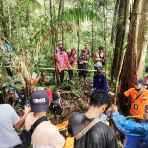 Penemuan Tengkorak di Hutan, Diduga Tomi Warga BU Yang Hilang