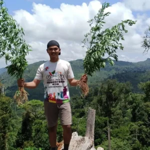 Temukan Ladang Ganja, Polres Seluma Masih Selidiki Pelaku Yang Melarikan Diri