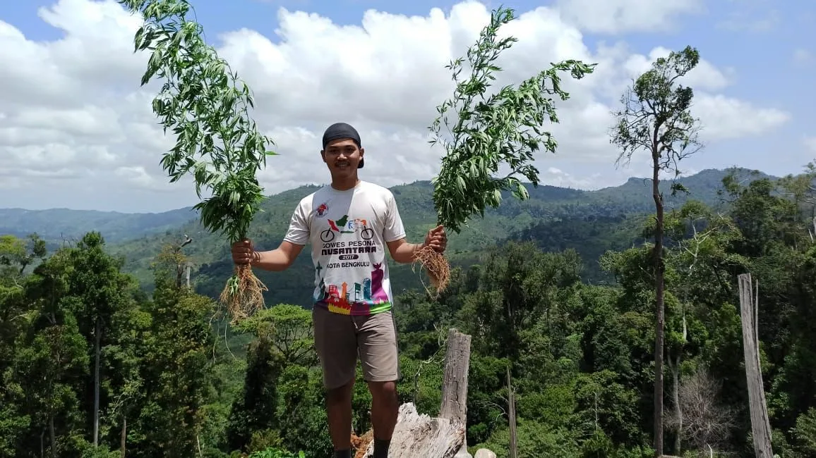 Temukan Ladang Ganja, Polres Seluma Masih Selidiki Pelaku Yang Melarikan Diri