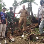 Desa Suka Datang Laksanakan Titik Nol Pembangunan TPT