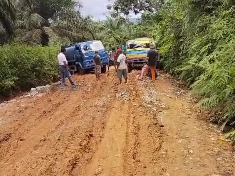 Jalan Selalu Rusak, Supir Mobil Angkutan TBS Keluhkan Jalan Menuju PT Alno Bengkulu Utara