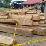 Polres Mukomuko Amankan Puluhan Kubik Kayu Hasil Illegal Logging