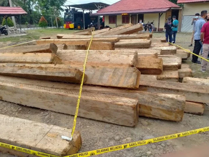Polres Mukomuko Amankan Puluhan Kubik Kayu Hasil Illegal Logging