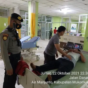 Tabrak Babi Liar, Nelayan Mukomuko Alami Luka Ringan