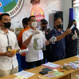 Tanam Ratusan Pohon Ganja, Warga RL Diamankan Polisi