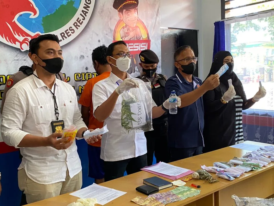 Tanam Ratusan Pohon Ganja, Warga RL Diamankan Polisi