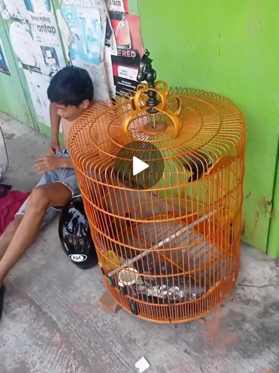 Tertangkap Curi Burung, Seorang Pria Dilaporkan Ke Polres Teluk Segara