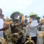 Fadel Muhammad : Bengkulu Selatan Berpotensi Kalahkan Gorontalo