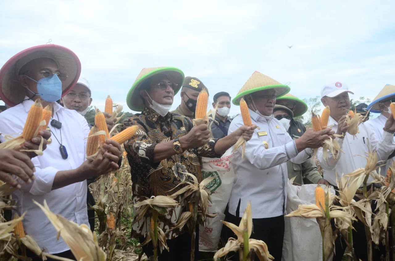 Fadel Muhammad : Bengkulu Selatan Berpotensi Kalahkan Gorontalo