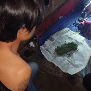 Selain Tertangkap Karena Kasus KDRT Pemuda Ini Miliki Ganja Paket Besar