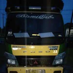 Tabrak Bak Truk Muatan TBS, Pemuda Lubuk Pinang Tewas Ditempat