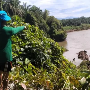 Warga Sumber Makmur Minta Pemda Mukomuko Tutup Galian C di Lubuk Pinang