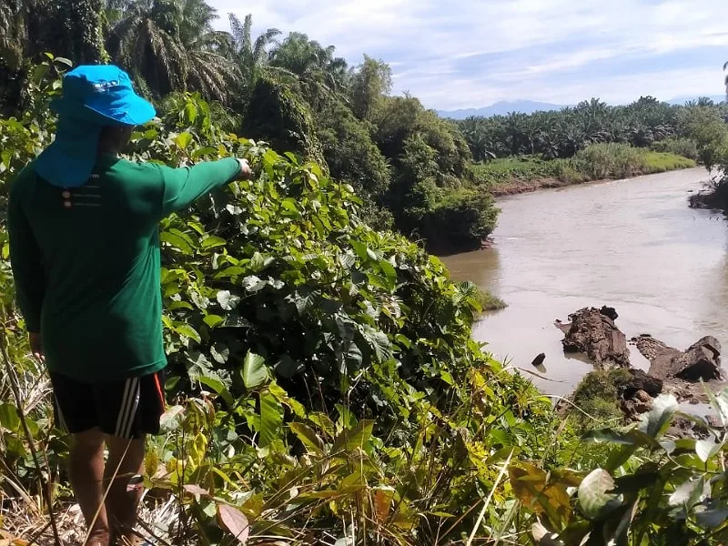 Warga Sumber Makmur Minta Pemda Mukomuko Tutup Galian C di Lubuk Pinang