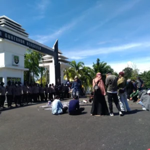 Gubernur Rohidin Akan Ambil Sikap Terkait Tambang Pasir Besi Seluma