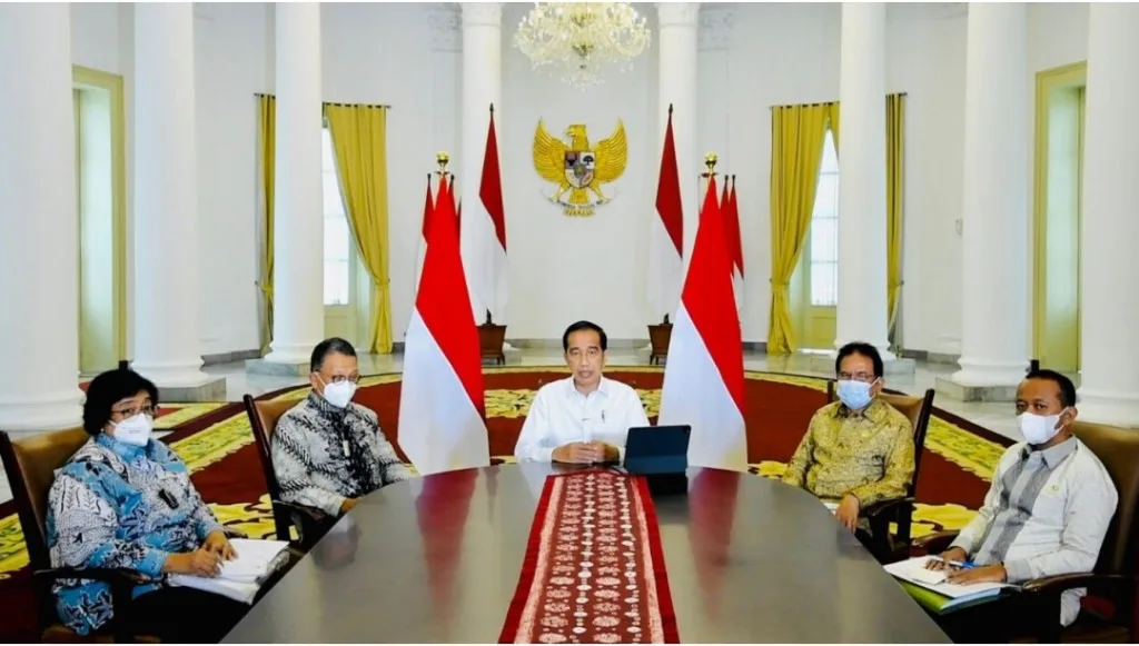 Pemerintah Cabut Izin Tambang dan HGU