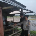 Saat Berteduh, Ujang Tewas Tersambar Petir